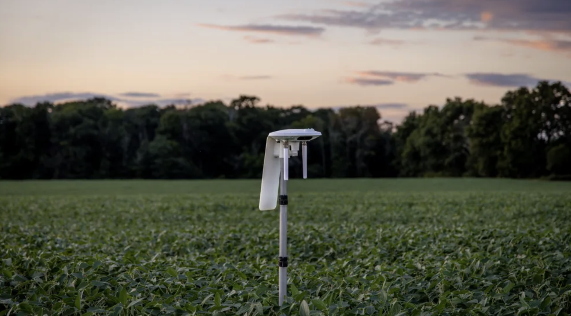 An irrigation tool in a crop field at sunset.