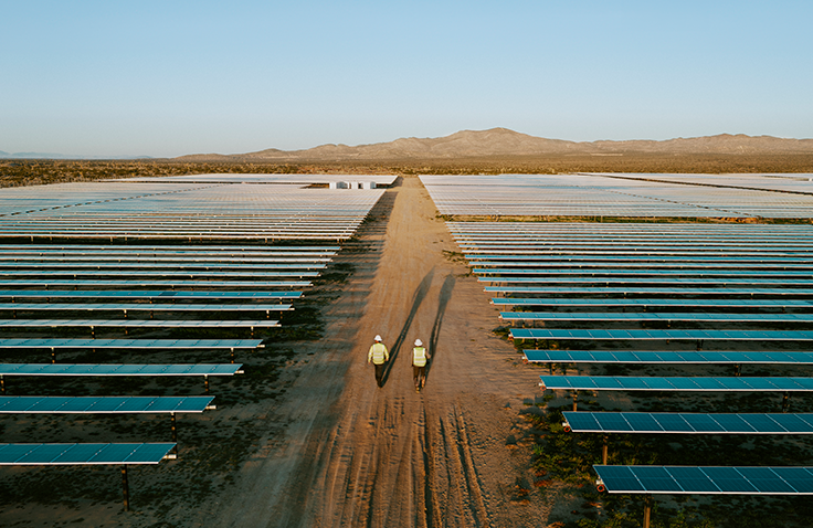 Two workers walking on a solar panel facility