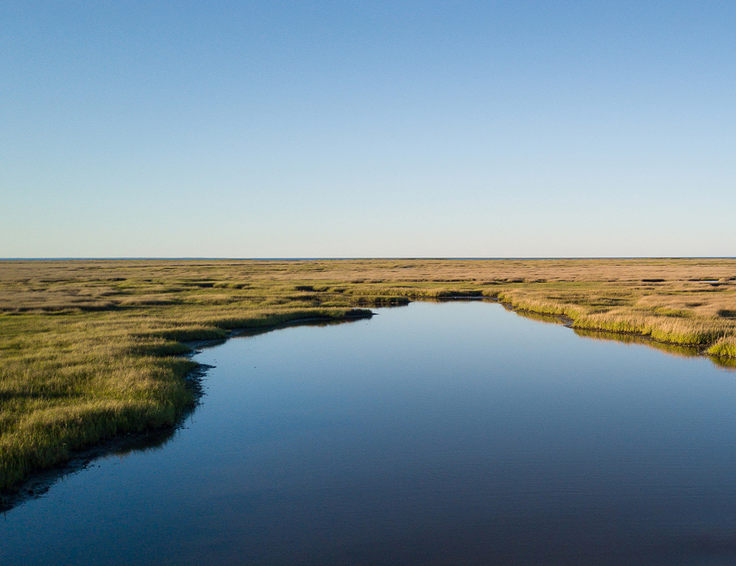 A body of water surrounded by wetlands. 