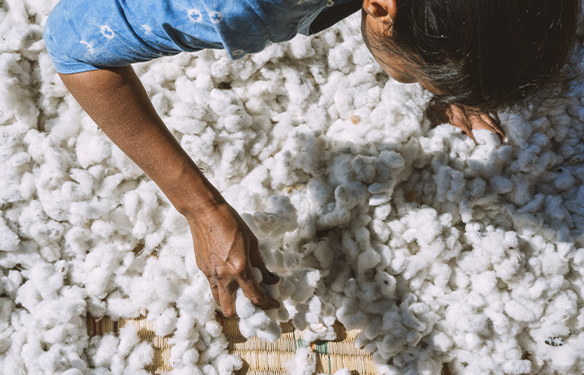 An overhead shot of a person sorting through cotton.