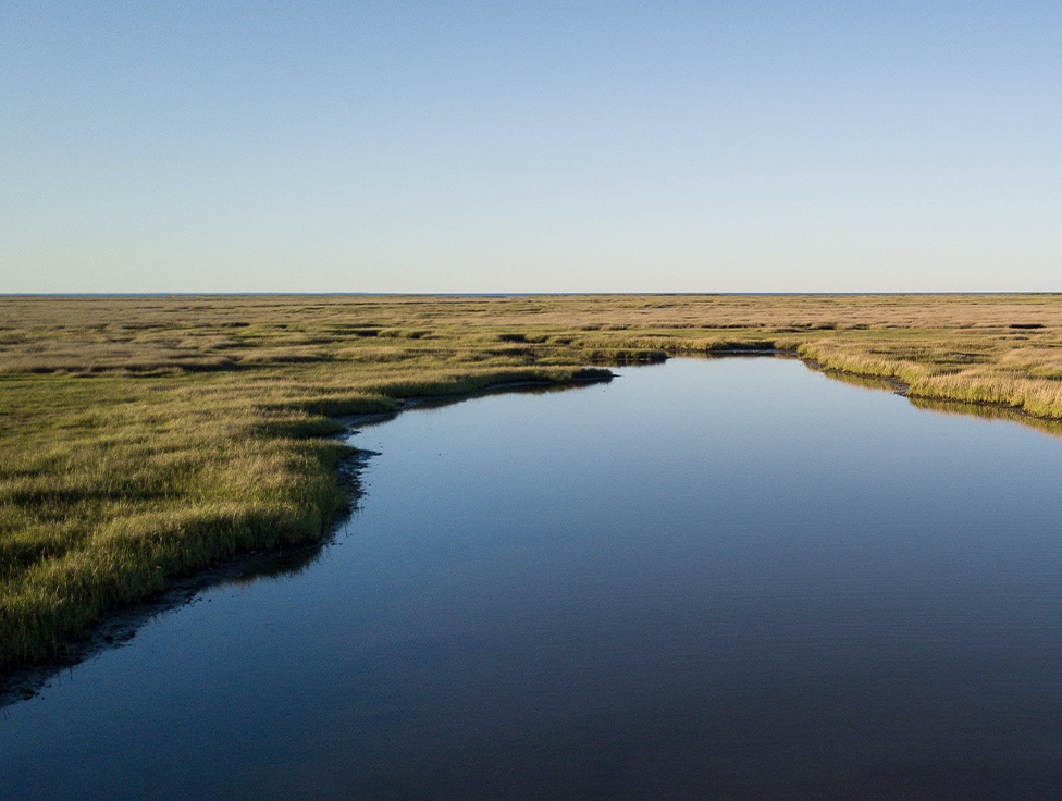 A river flows among vegetation.