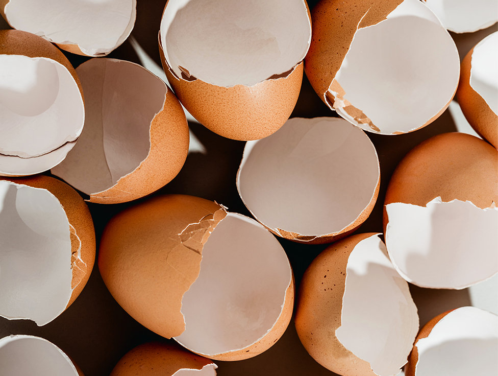 Close-up of empty cracked eggs