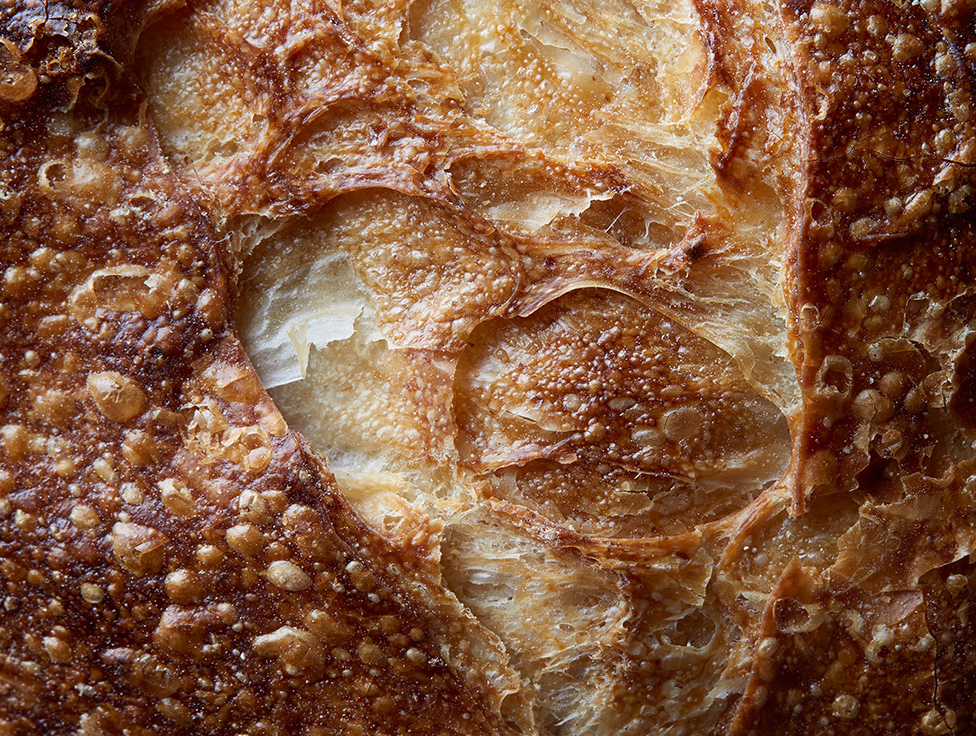 Close-up of freshly baked bread with a dark brown crust