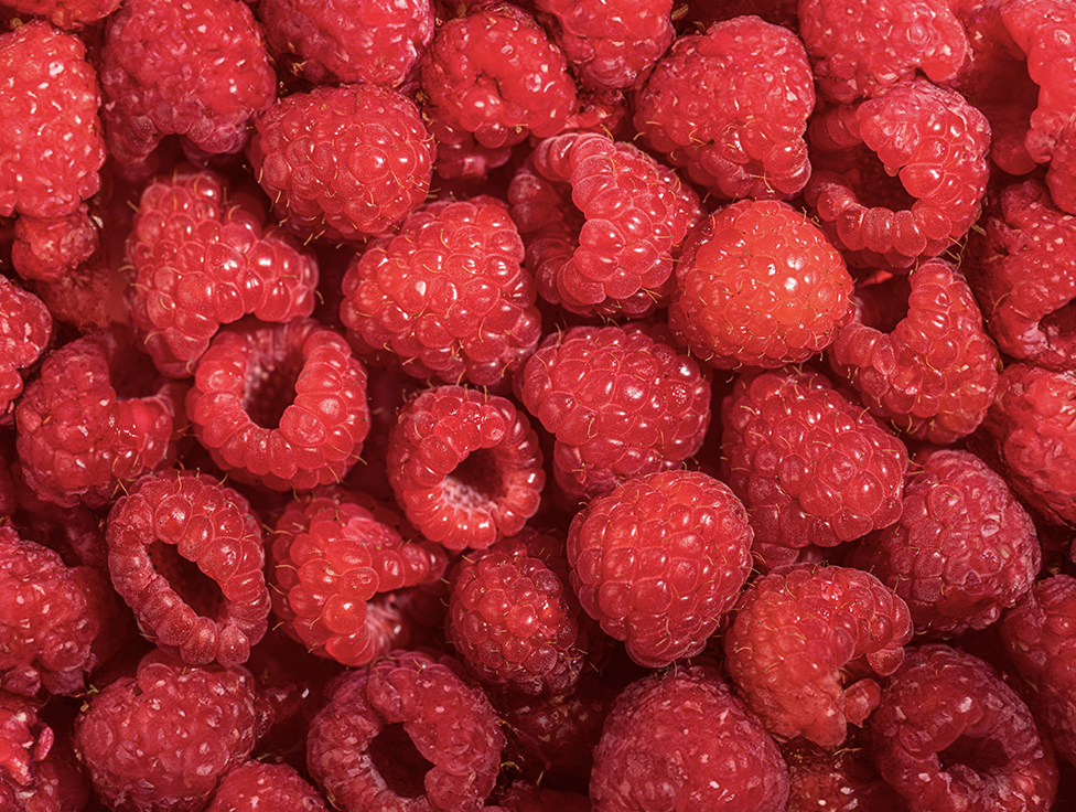 Close-up of raspberries