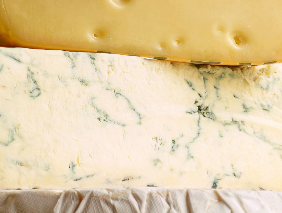 Close-up of assorted cheeses