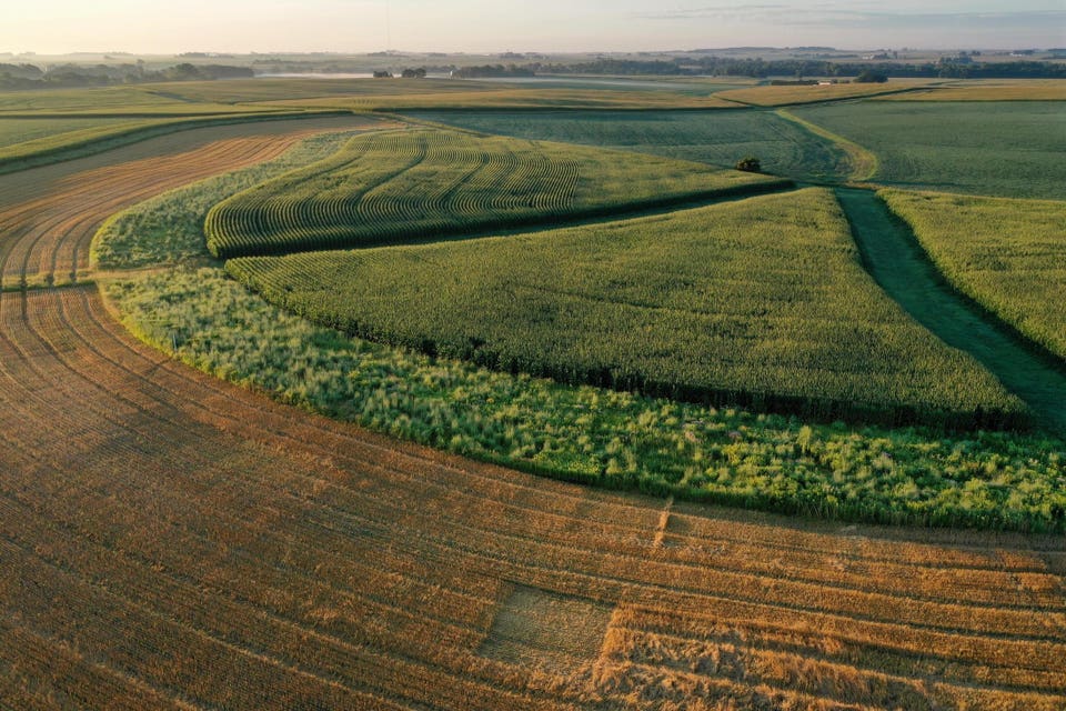 A grassy green field surrounded by cropland. 