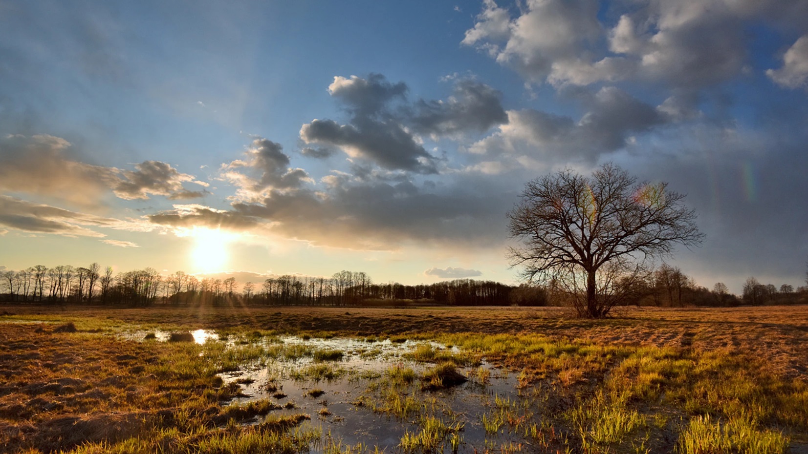 The sun sets over grassy wetlands.