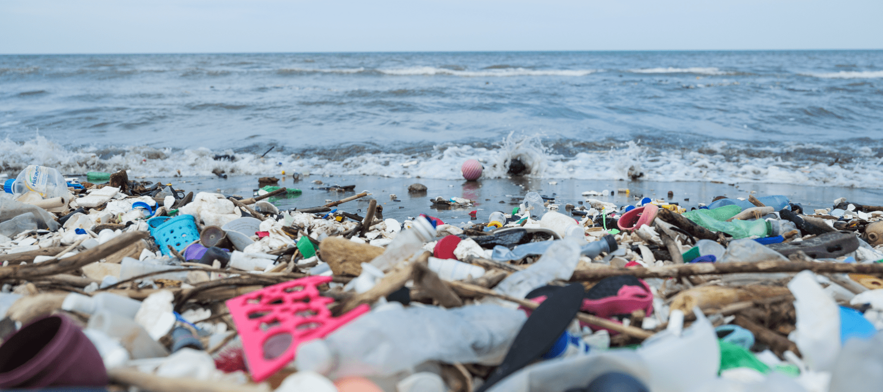 Garbage lines the shore of a beach. 